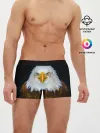 Мужские трусы боксеры / Белоголовый орлан