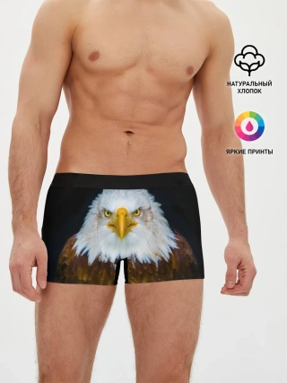 Мужские трусы боксеры / Белоголовый орлан
