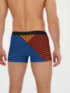 Мужские трусы боксеры / Комбинированный полосатый узор