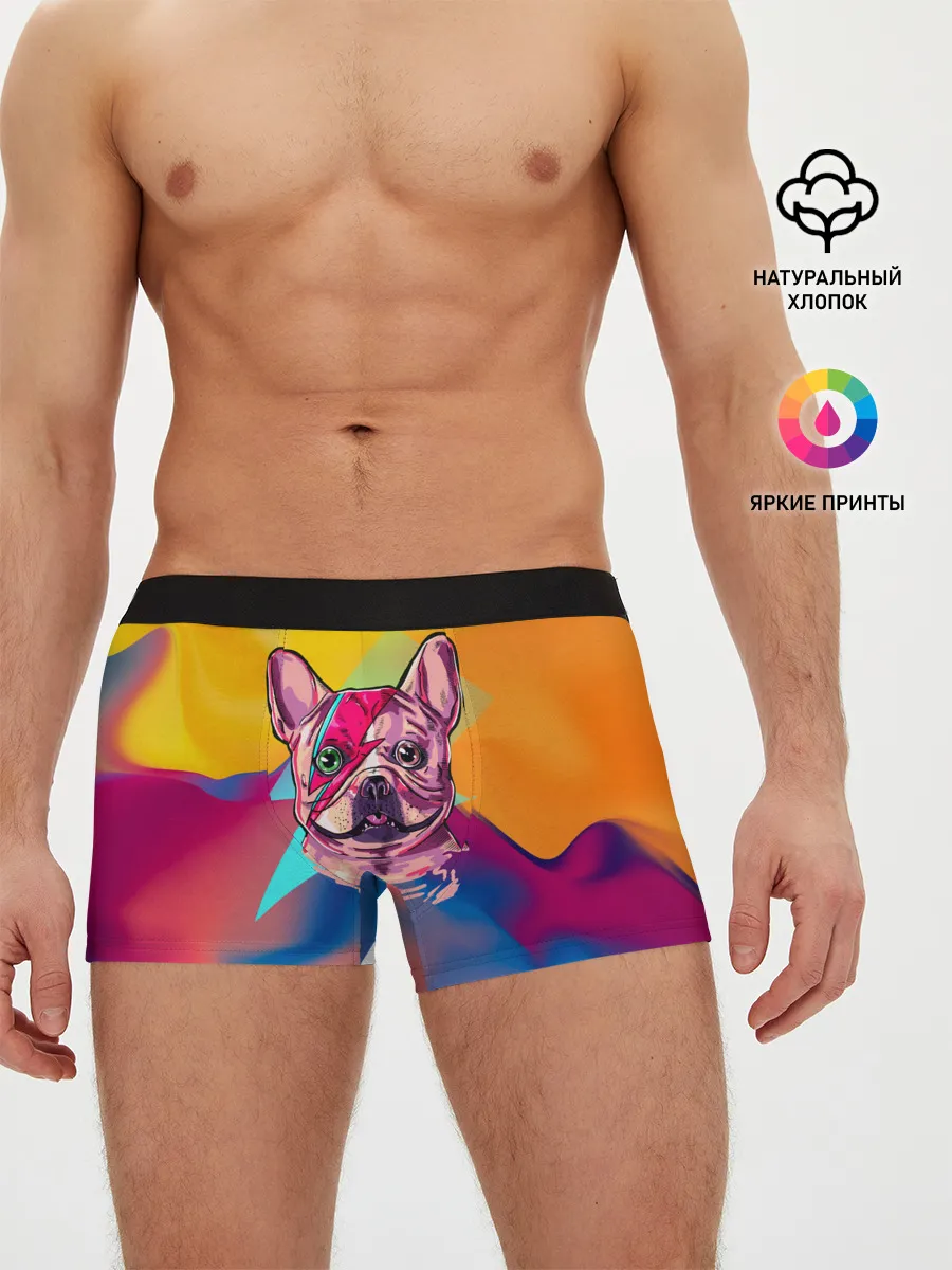 Мужские трусы боксеры / Собака с молнией