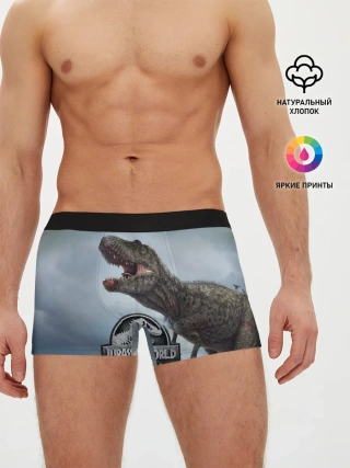 Мужские трусы боксеры / Jurassic World | Мир Юрского периода