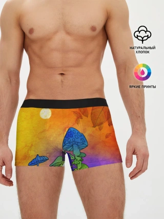 Мужские трусы боксеры / Заколдованный лес