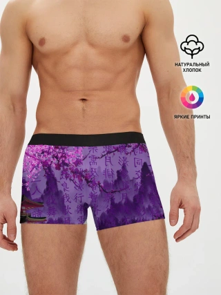 Мужские трусы боксеры / фиолетовый китай