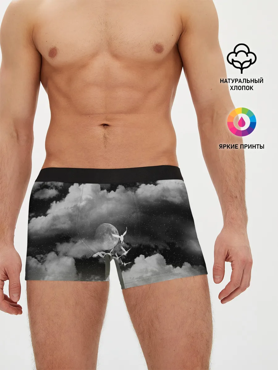 Мужские трусы боксеры / Cloudy Night