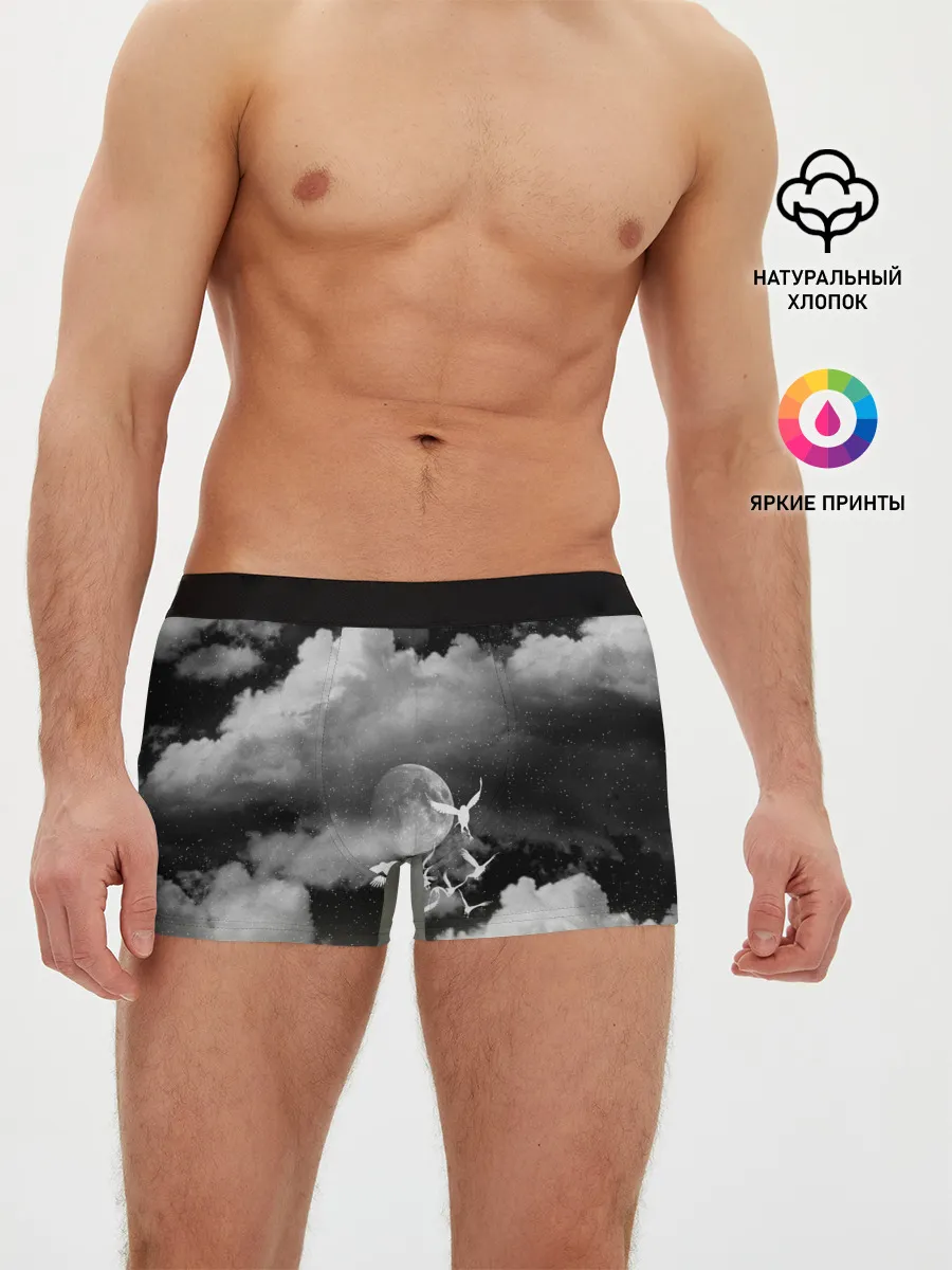 Мужские трусы боксеры / Cloudy Night
