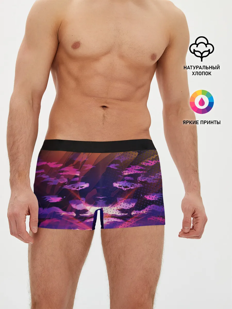 Мужские трусы боксеры / Закат. Облака