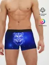 Мужские трусы боксеры / Космический тигр