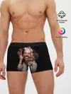 Мужские трусы боксеры / Windowlicker