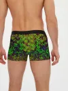 Мужские трусы боксеры / Четырехлистный Клевер