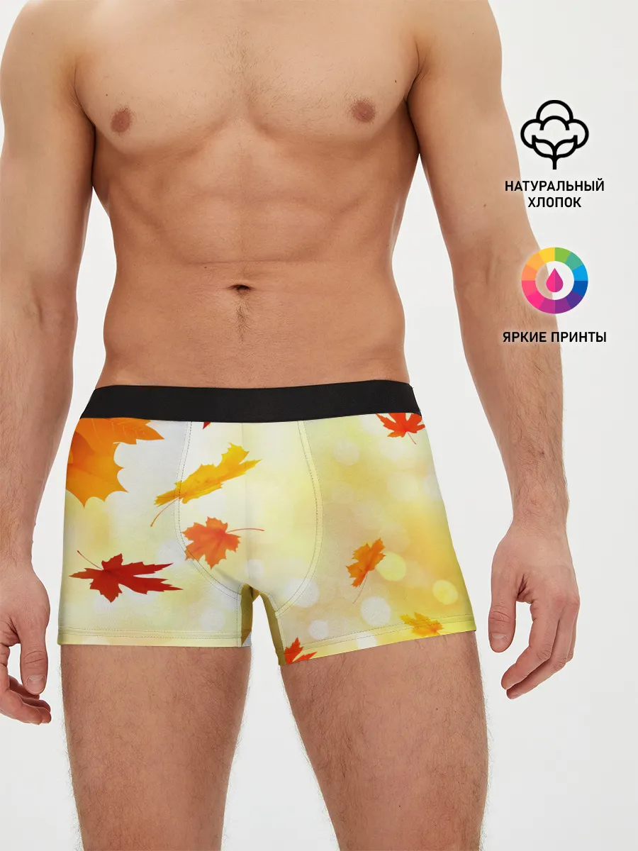 Мужские трусы боксеры / ПАДАЮЩИЙ КЛЕН | ОСЕННЯЯ
