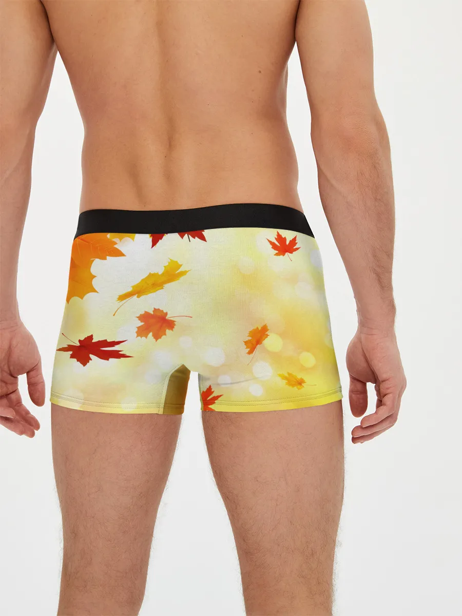 Мужские трусы боксеры / ПАДАЮЩИЙ КЛЕН | ОСЕННЯЯ