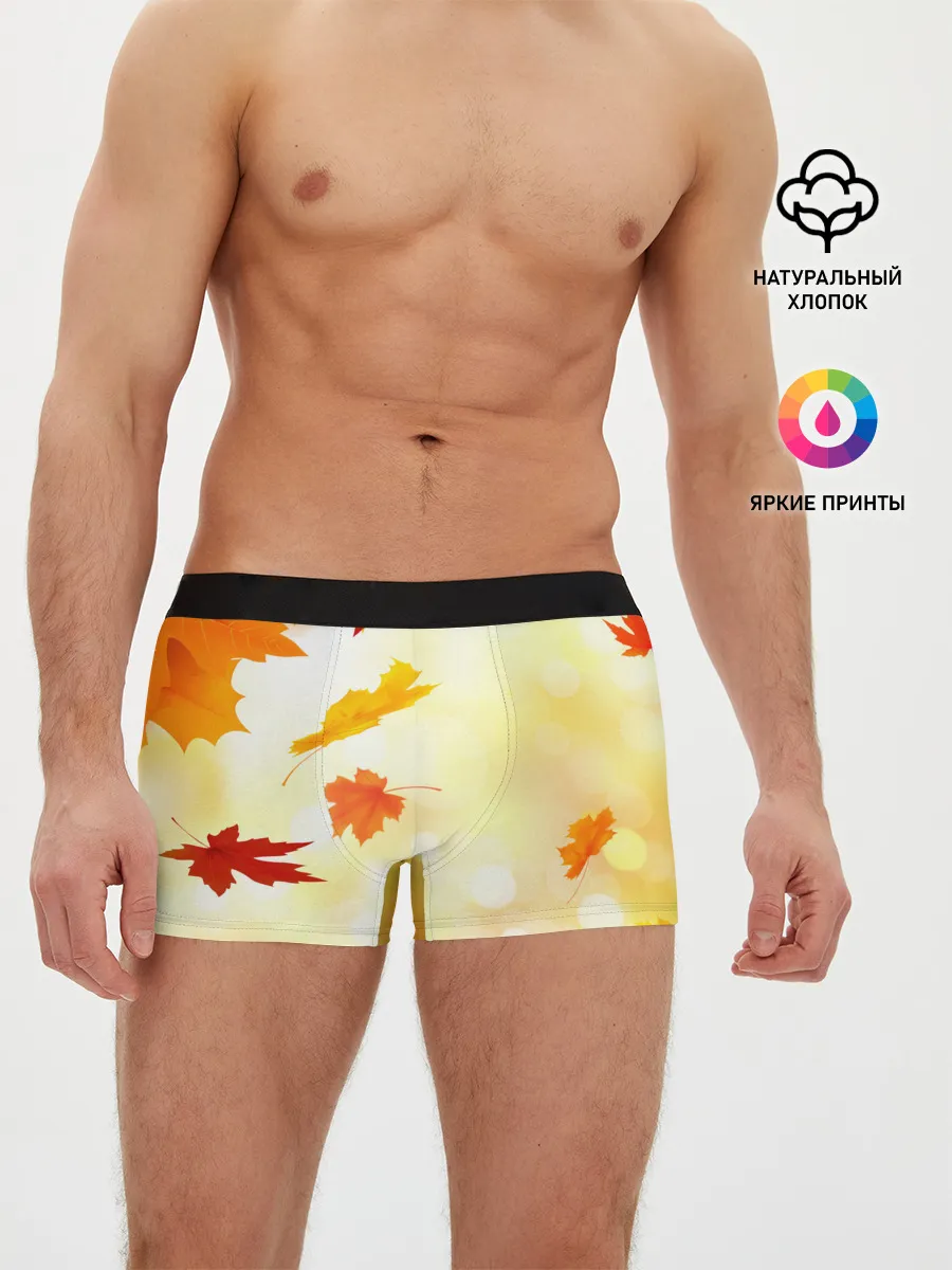 Мужские трусы боксеры / ПАДАЮЩИЙ КЛЕН | ОСЕННЯЯ