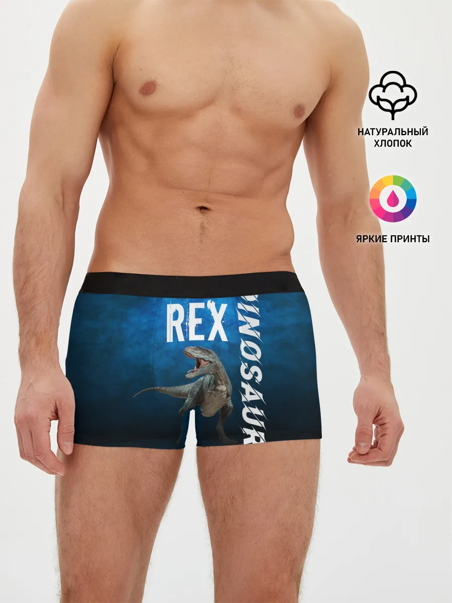 Мужские трусы боксеры / Dinosaurs Rex 3D
