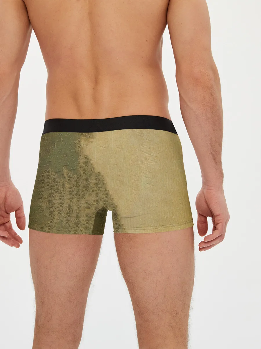 Мужские трусы боксеры / War Is the Answer - Five Finger Death Punch