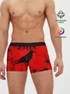Мужские трусы боксеры / RAVEN