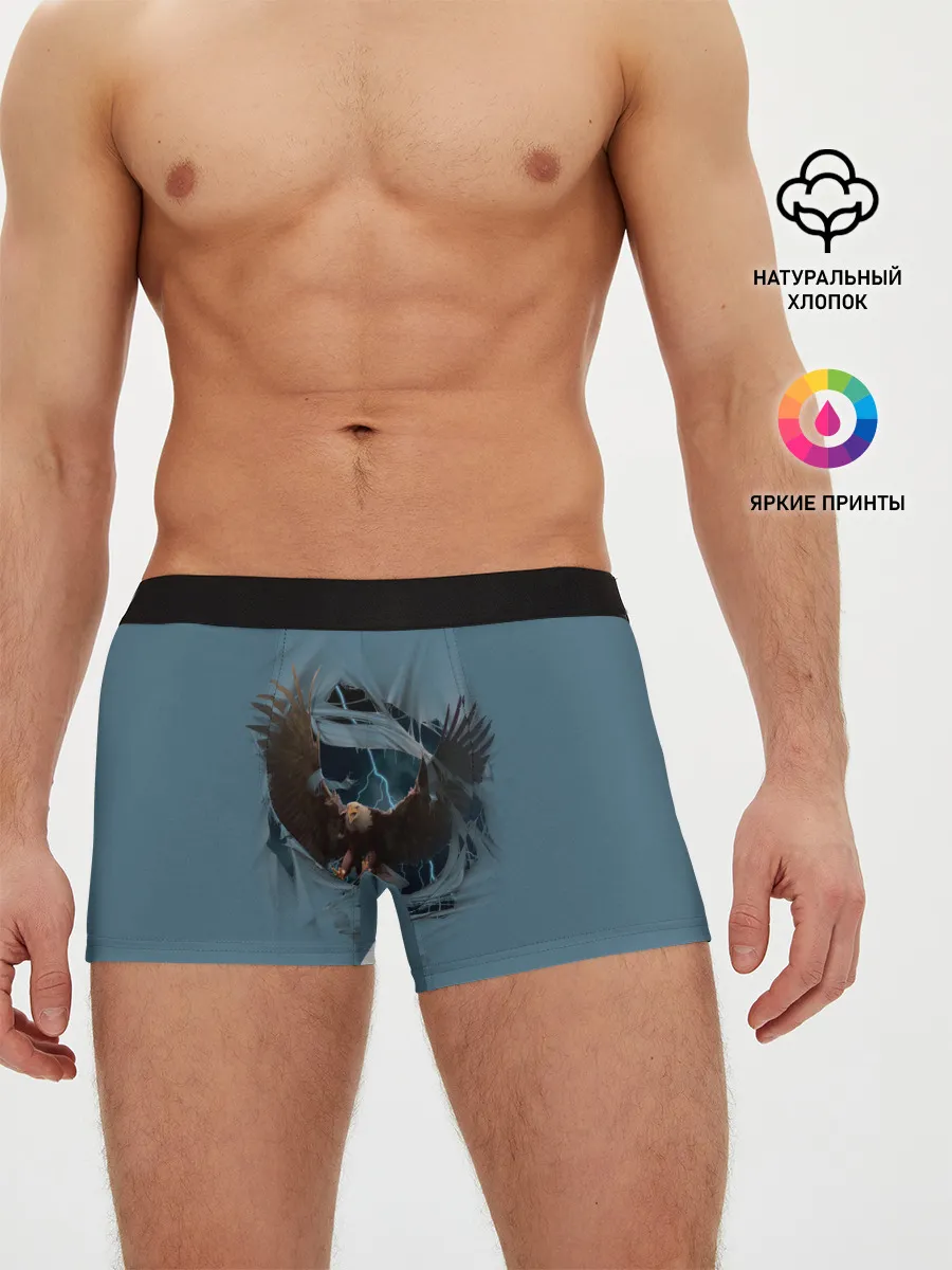 Мужские трусы боксеры / ОРЕЛ СКВОЗЬ ТКАНЬ