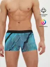Мужские трусы боксеры / Перья попугая