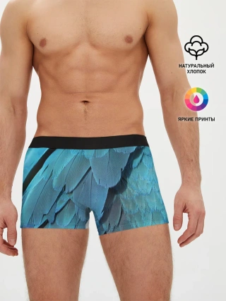 Мужские трусы боксеры / Перья попугая