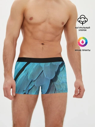Мужские трусы боксеры / Перья попугая