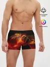 Мужские трусы боксеры / Fire Girl