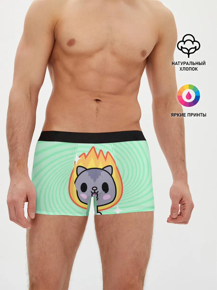 Мужские трусы боксеры / Toca Boca Cat