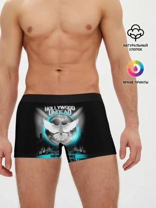 Мужские трусы боксеры / New Empire, Vol. 1 - Hollywood Undead