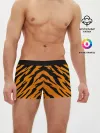 Мужские трусы боксеры / Шкура тигра