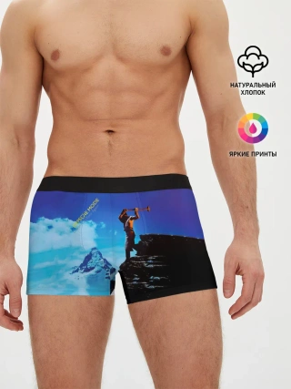 Мужские трусы боксеры / Construction Time Again - Depeche Mode