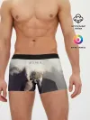 Мужские трусы боксеры / Это не я ...
