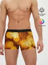Мужские трусы боксеры / Дождик золотой