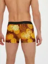 Мужские трусы боксеры / Дождик золотой
