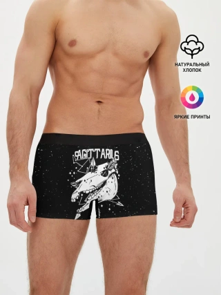 Мужские трусы боксеры / Dark Sagittarius