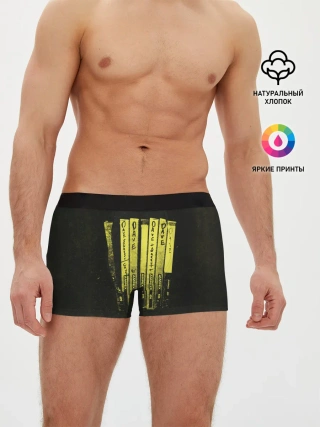 Мужские трусы боксеры / Songs from the Laundry Room - Foo Fighters