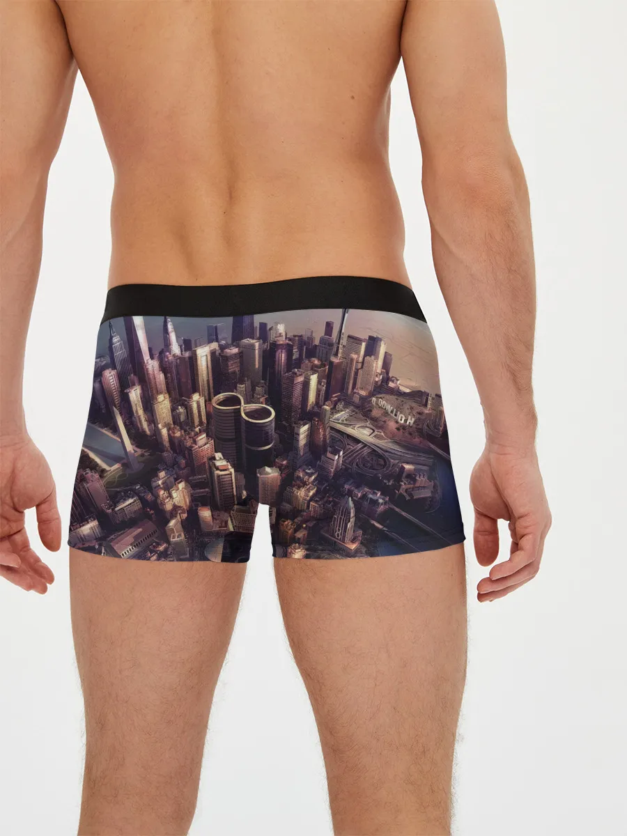 Мужские трусы боксеры / Sonic Highways - Foo Fighters