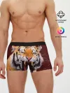 Мужские трусы боксеры / Тигр красавчик сердится