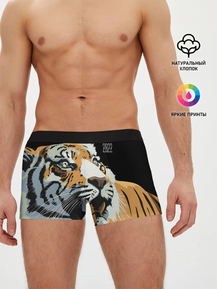 Мужские трусы боксеры / Тигр перед атакой