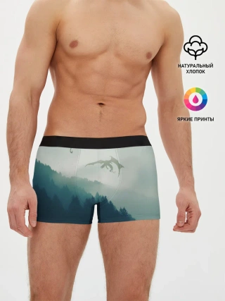 Мужские трусы боксеры / ДРАКОНЫ НАД ЛЕСОМ / DRAGON