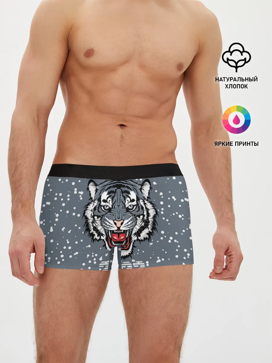 Мужские трусы боксеры / Водяной тигр 2022