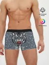 Мужские трусы боксеры / Водяной тигр 2022