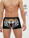 Мужские трусы боксеры / Оскал амурского тигра