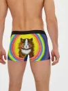 Мужские трусы боксеры / Радужный кот Луиса Уэйна