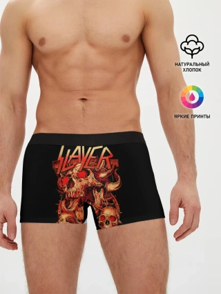 Мужские трусы боксеры / Slayer, Reign in Blood
