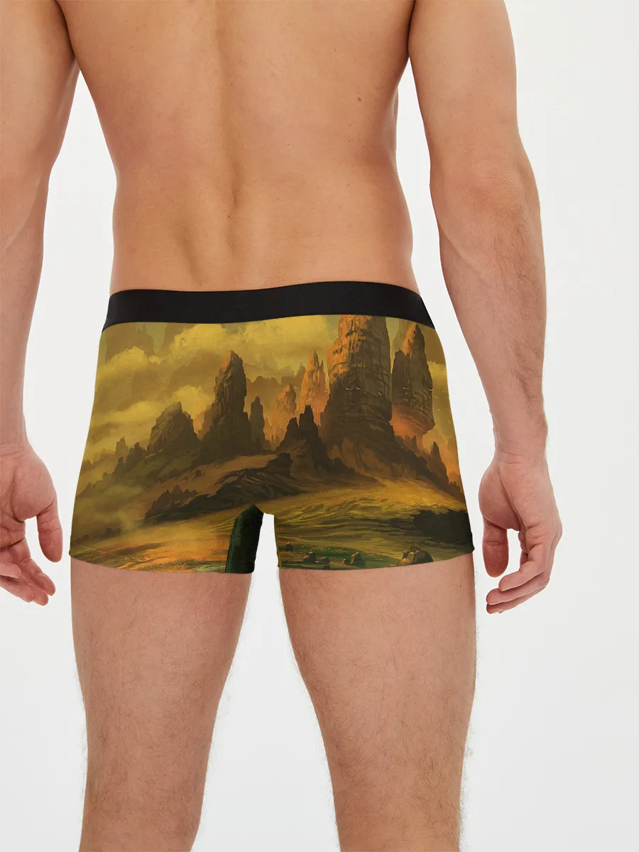 Мужские трусы боксеры / Zhong Li