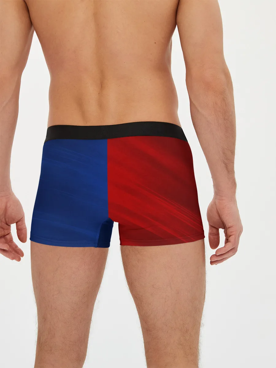 Мужские трусы боксеры / Логотип Alpina