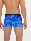 Мужские трусы боксеры / Ice Under Water
