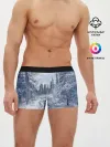 Мужские трусы боксеры / СНЕЖНЫЙ ПЕЙЗАЖ