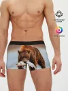 Мужские трусы боксеры / Медведь с рыбой во рту