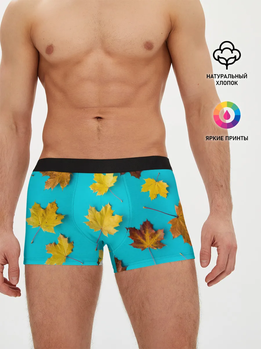 Мужские трусы боксеры / Кленовый листочек