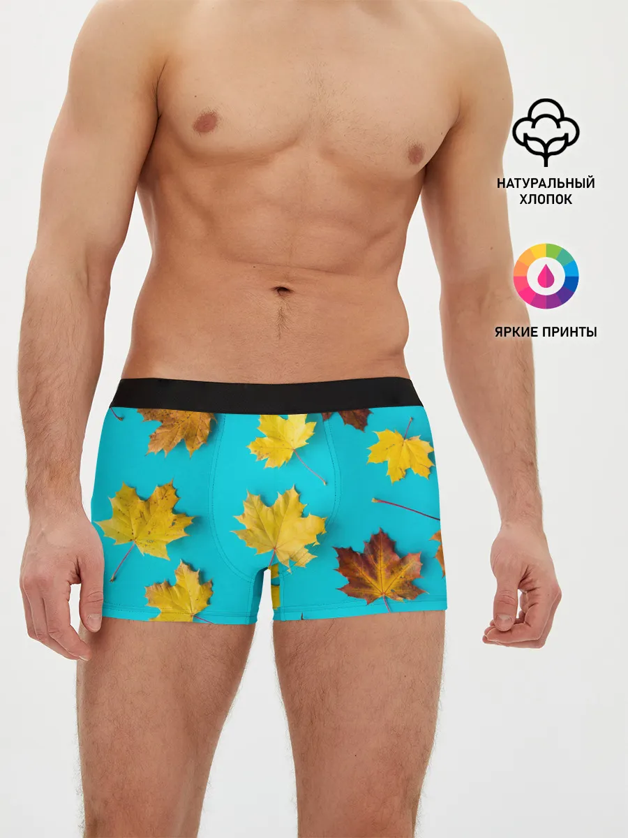 Мужские трусы боксеры / Кленовый листочек