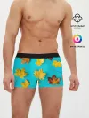 Мужские трусы боксеры / Кленовый листочек